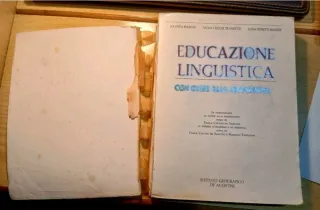Educazione linguistica
