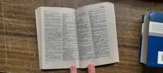 Dizionario italo spagnolo e libro dei sinonimi