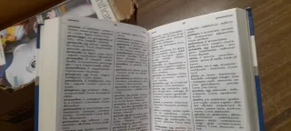 Dizionario italo spagnolo e libro dei sinonimi