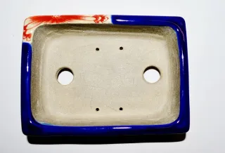 Maceta Bonsái Satomi Terahata Cerámica Azul/Rojo