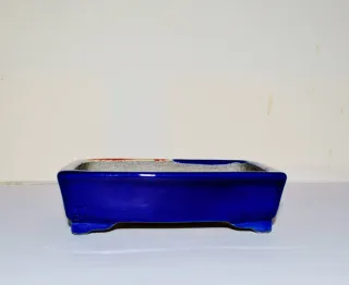 Maceta Bonsái Satomi Terahata Cerámica Azul/Rojo