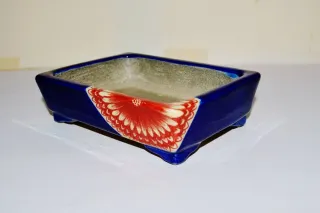 Maceta Bonsái Satomi Terahata Cerámica Azul/Rojo