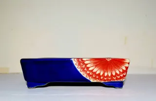 Maceta Bonsái Satomi Terahata Cerámica Azul/Rojo