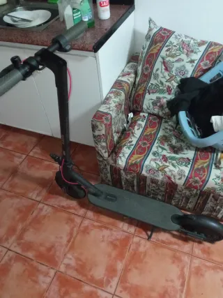 Patinete Eléctrico Xiaomi