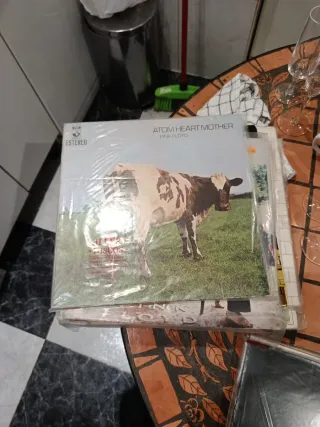 Vinilos Pink Floyd L.P.