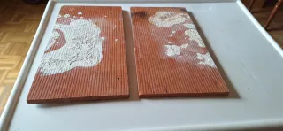 2 Baldosas Cerámica Vintage Figuras