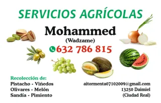 Servicios Agricolas