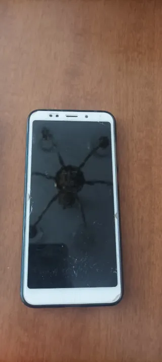 Lote 2 Móviles Xiaomi Blanco y Negro con cable