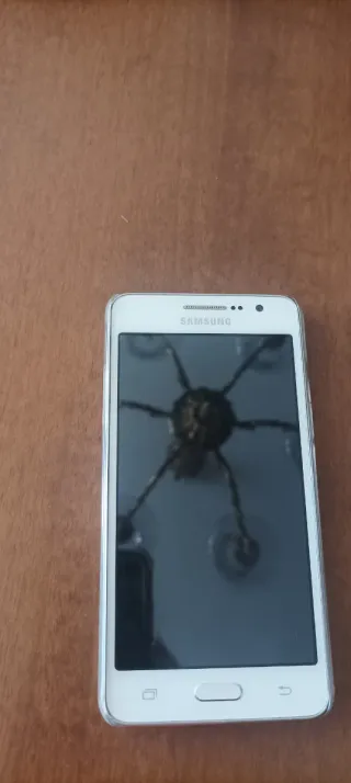 Lote 2 Móviles Xiaomi Blanco y Negro con cable