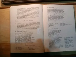 La Nuova Indagine vol 1