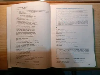 La Nuova Indagine vol 2