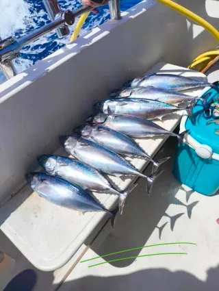 Salida de Pesca Barcelona-Tarragona