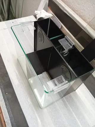 Acuario Betta con divisor