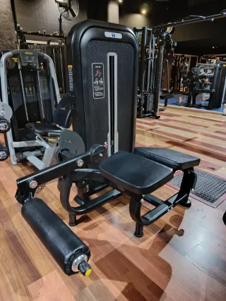 Máquina femoral tumbado