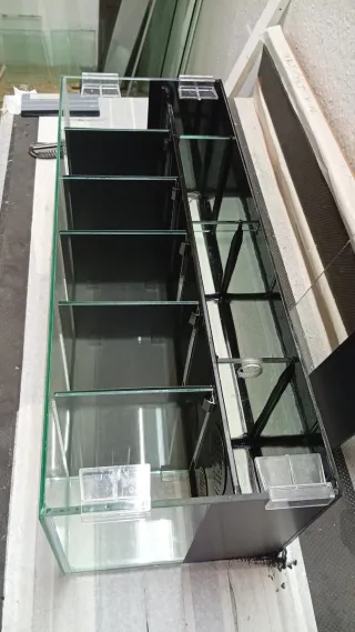 Acuario Betta con divisores