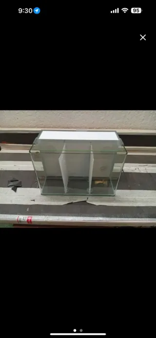 Acuario Betta con divisores