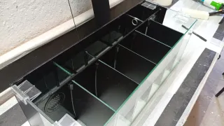 Acuario Betta con divisores