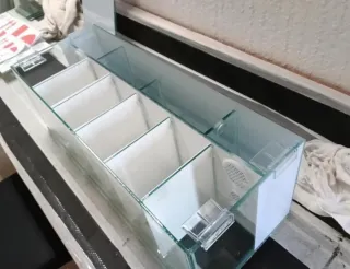 Acuario Betta con divisores