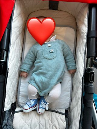 Carrito Bugaboo Cameleon