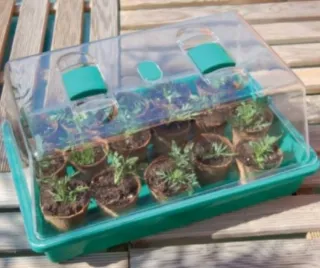 Mini invernadero para germinar semillas