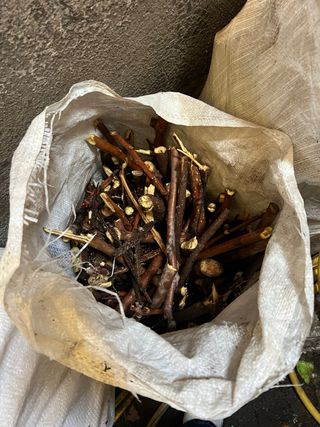 Leña para fuego y barbacoa de diferentes tamaños