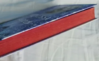 NOVELA JUVENIL LA PRINCESA DE LOS LOBOS