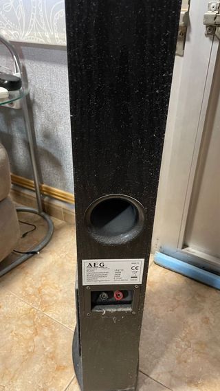 Altavoces AEG Columna