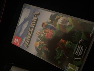 Nintendo Switch + Minecraft