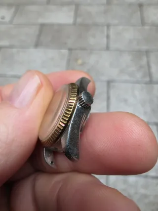 Orologio Rovert Automatico Incabloc