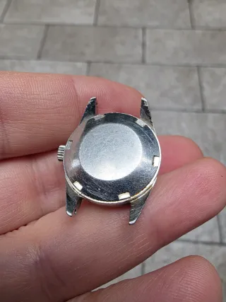 Orologio Rovert Automatico Incabloc