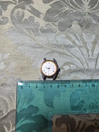 Orologio Rovert Automatico Incabloc