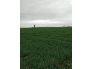 Casa rural en venta en Valdepeñas