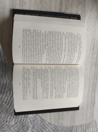 Libro "El pintor de almas" - Ildefonso Falcones