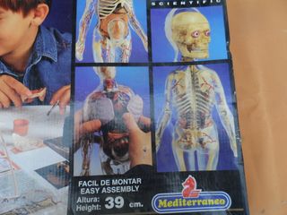 Kit Anatomía Mujer Micronova +10 Años