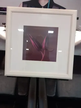 Conjunto de 3 cuadros