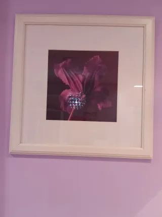 Conjunto de 3 cuadros