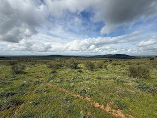 Casa rural en venta en Olivenza