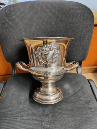 Champagnera Alpaca Plateada