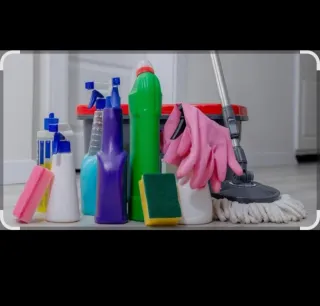 Realizo trabajos de limpieza a domicilio por hora.