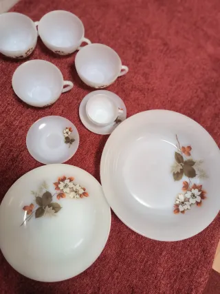 Vajilla vintage porcelana flores