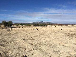 Solar en venta en Villanueva del Río Segura