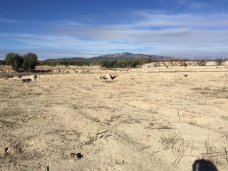 Solar en venta en Villanueva del Río Segura