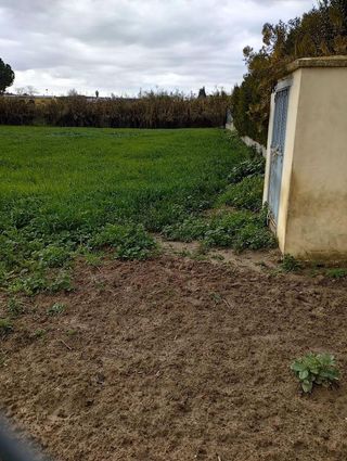Terreno en venta en Coria del Río