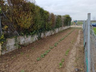 Terreno en venta en Coria del Río