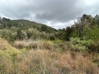 Terreno en venta en Sant Joan de Labritja