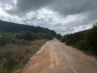 Terreno en venta en Sant Joan de Labritja