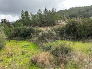 Terreno en venta en Sant Joan de Labritja