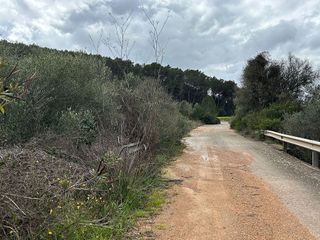 Terreno en venta en Sant Joan de Labritja