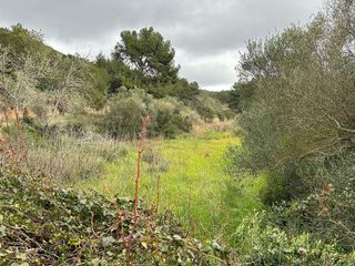 Terreno en venta en Sant Joan de Labritja