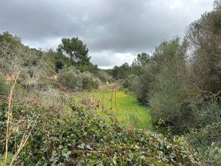 Terreno en venta en Sant Joan de Labritja